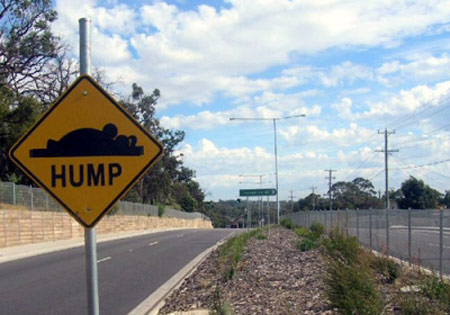 Mystery joker installing funny road signs. According to the Frankston Leader 