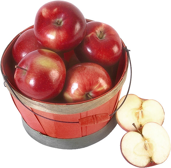 More information about "Apples to Apples - - - -   Cheap parts-good parts-- is there a difference?  Now, explain that to cost concerned customer."