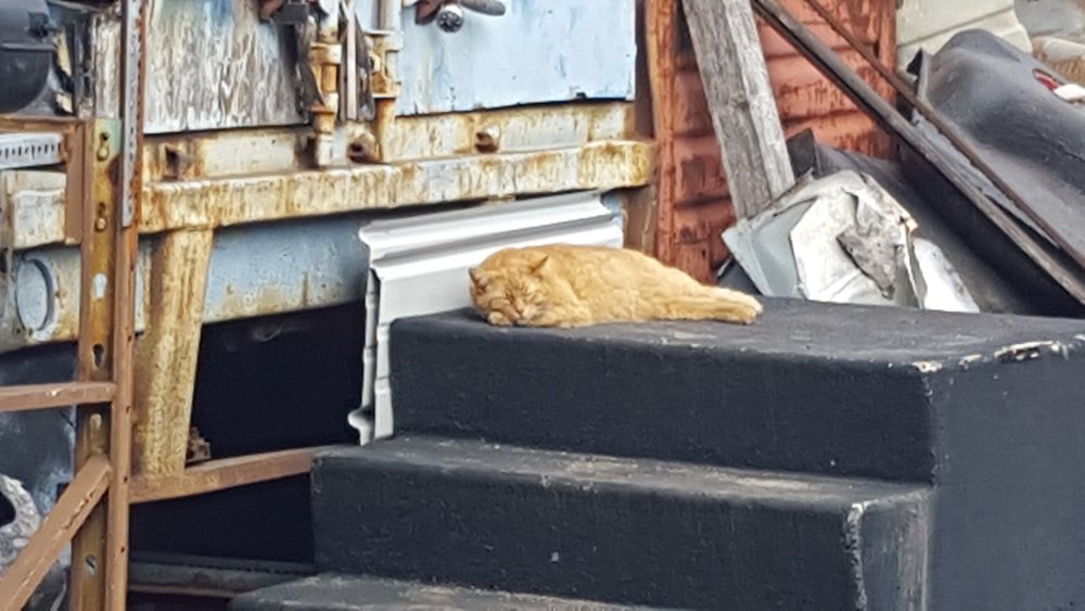 20180228_140435.jpg